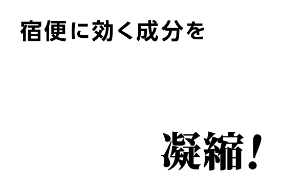 宿便に効く成分を