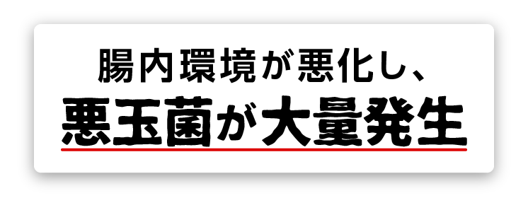 腸内環境が悪化し、悪玉菌が大量発生