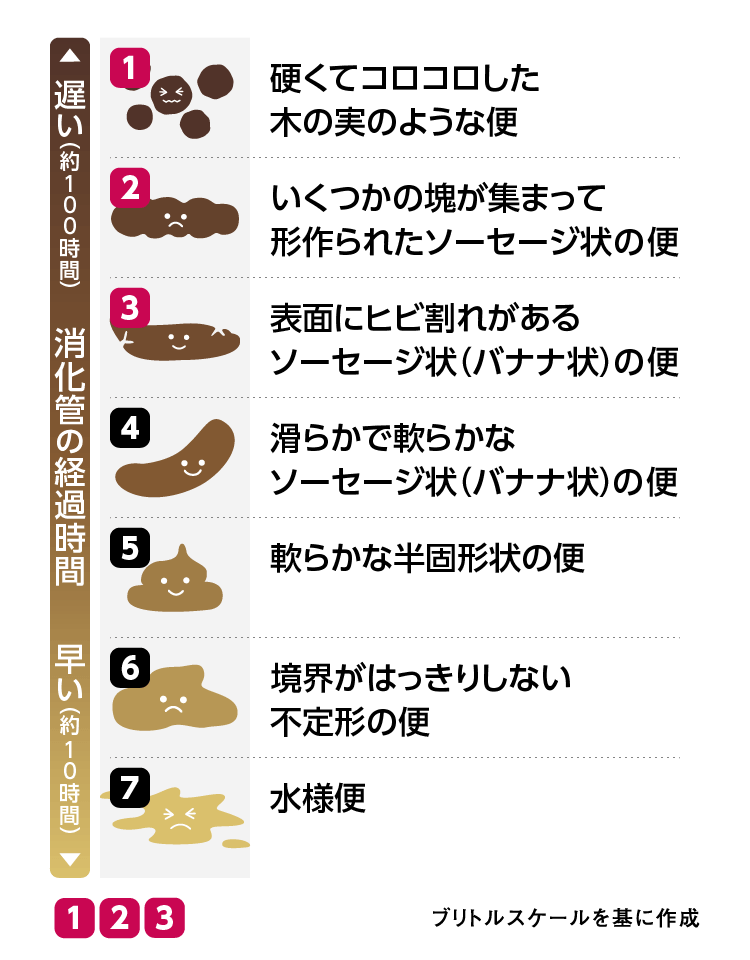 便の種類と状態（ブリトルスケールを基に作成）