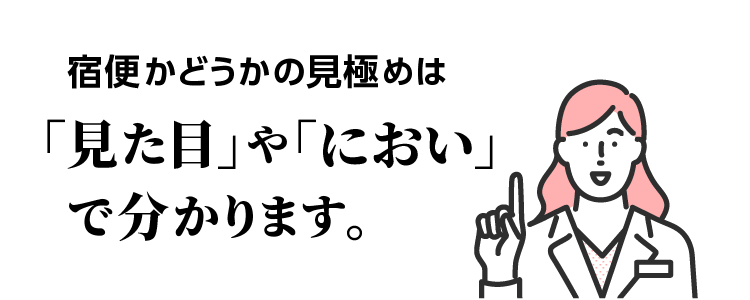 宿便かどうかの見極めは「見た目」や「におい」で分かります。