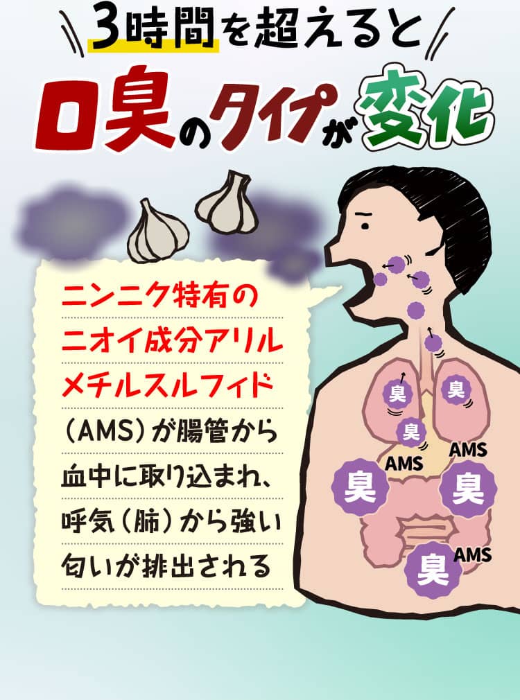 3時間を超えると口臭のタイプが変化