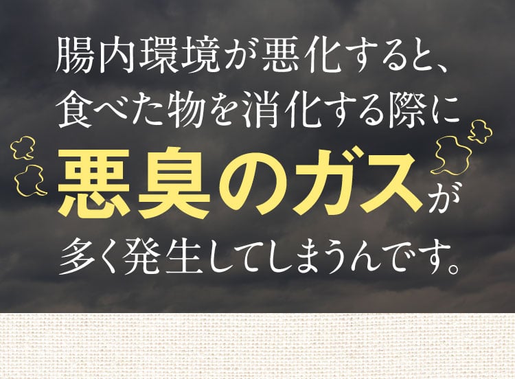 悪臭のガスが多く発生する