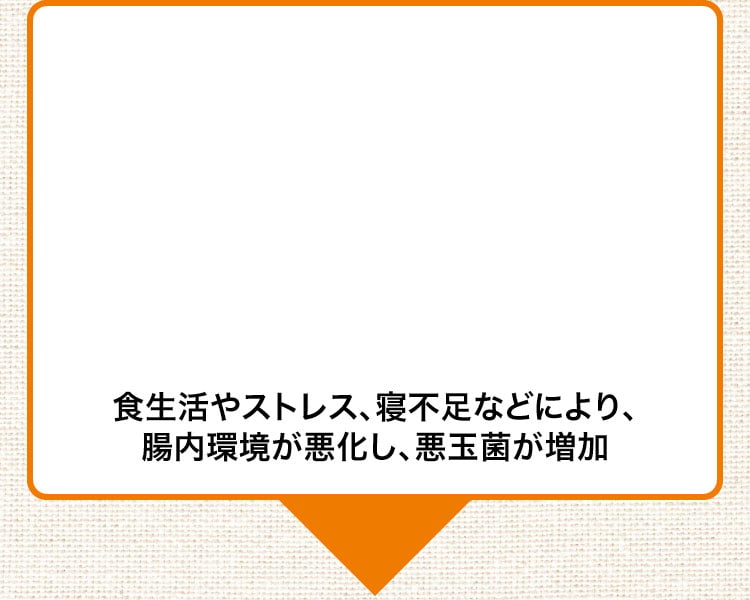 食生活やストレス寝不足などにより