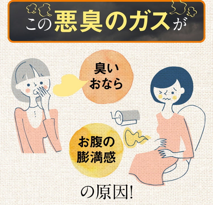 この悪臭のガスが「臭いおなら」「お腹の膨満感」の原因