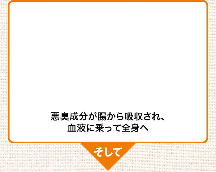 悪臭成分が腸から吸収され