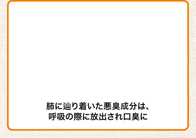 肺に辿り着いた悪臭成分は