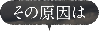 その原因は