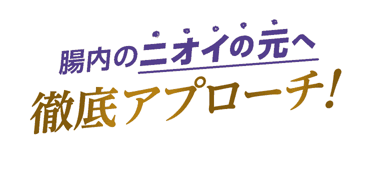 腸内のニオイの元へ徹底アプローチ！