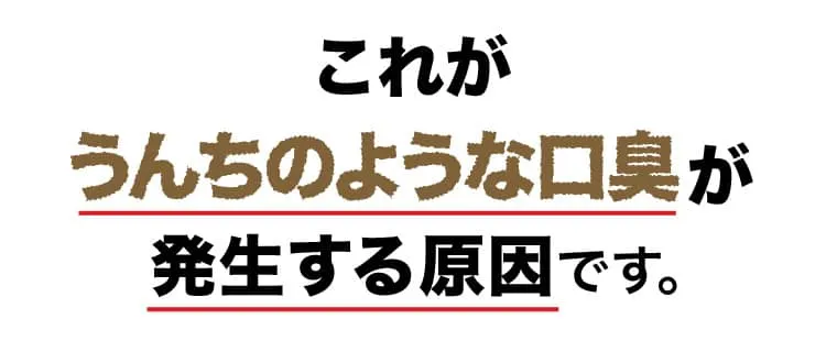 これがうんちのような口臭の原因です。