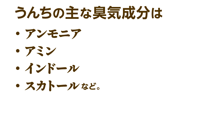 うんちの主な臭気成分はアンモニア、アミン、インドール、スカトールなど。