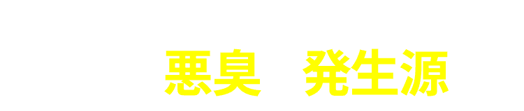 多くの専門家が指摘　体内の悪臭の発生源は