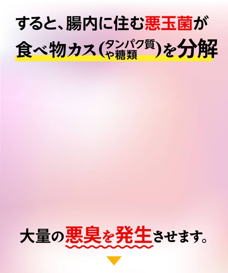 すると、腸内に住む悪玉菌が食べ物カス（タンパク質や糖類）を分解大量の悪臭を発生させます。