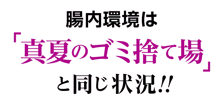 腸内環境は真夏のゴミ捨て場と同じ状況