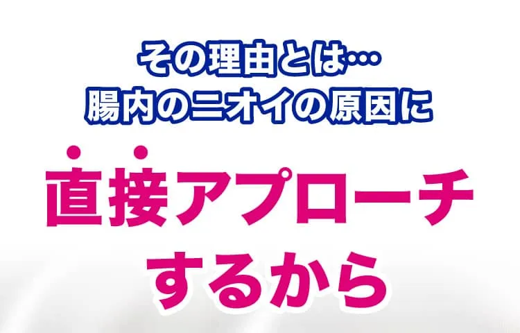 これが起床時に口臭が発生するメカニズムです。