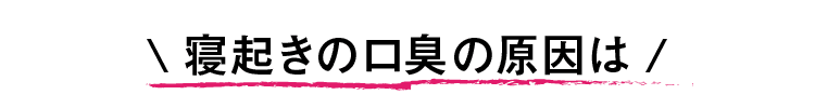 寝起きの口臭の原因は腸内にあるのをご存知ですか？