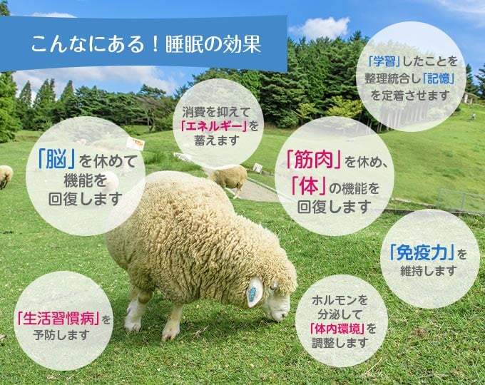 睡眠負債 に要注意 睡眠ってこんなに効果があるんです グリーンハウス公式