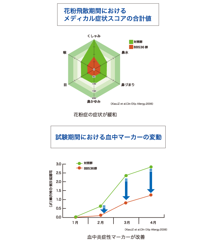 ビフィズス菌BB536｜グリーンハウス公式