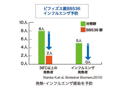 ビフィズス菌BB536｜グリーンハウス株式会社