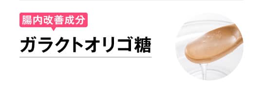 腸内改善成分 ガラクトオリゴ糖