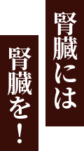 腎臓には腎臓を！