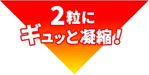 2粒にギュッと凝縮！